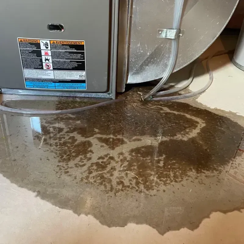 Appliance Leak Cleanup in Gladwin County, MI